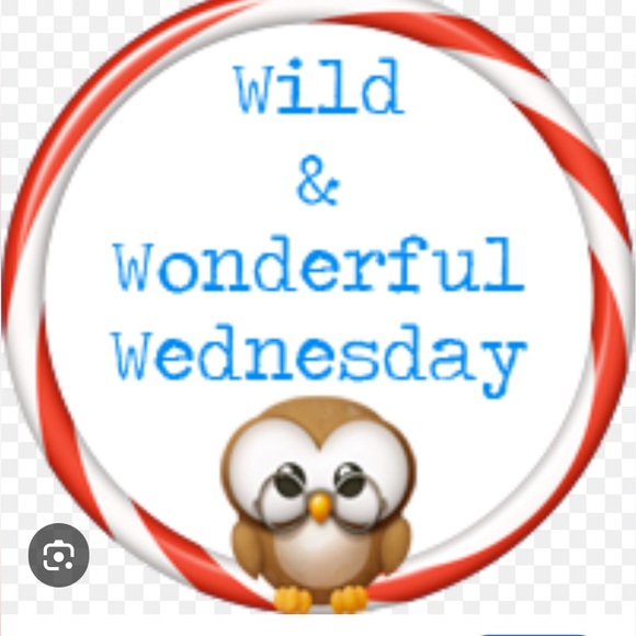 👗👗VINTAGE SHOW FRI OCT 31 8am Cashmere Wool Silk Linen👗👗 - Picture 7 of 16